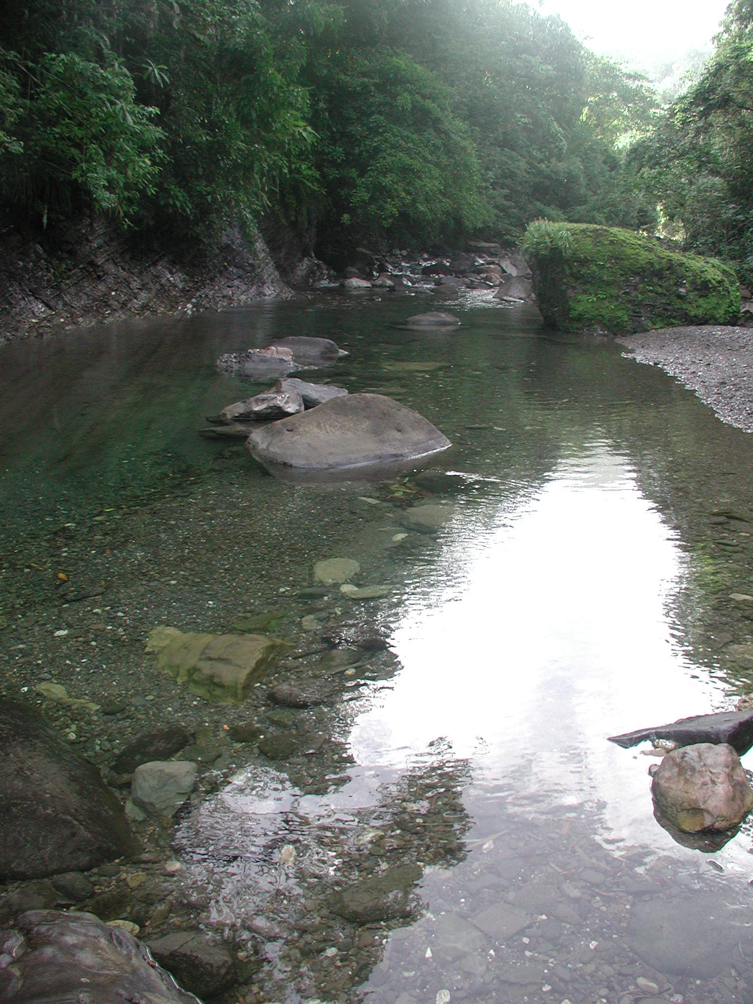 A quiet river pool surrounded by rocks and dense green foliage in Jamaica’s Rio Grande valley